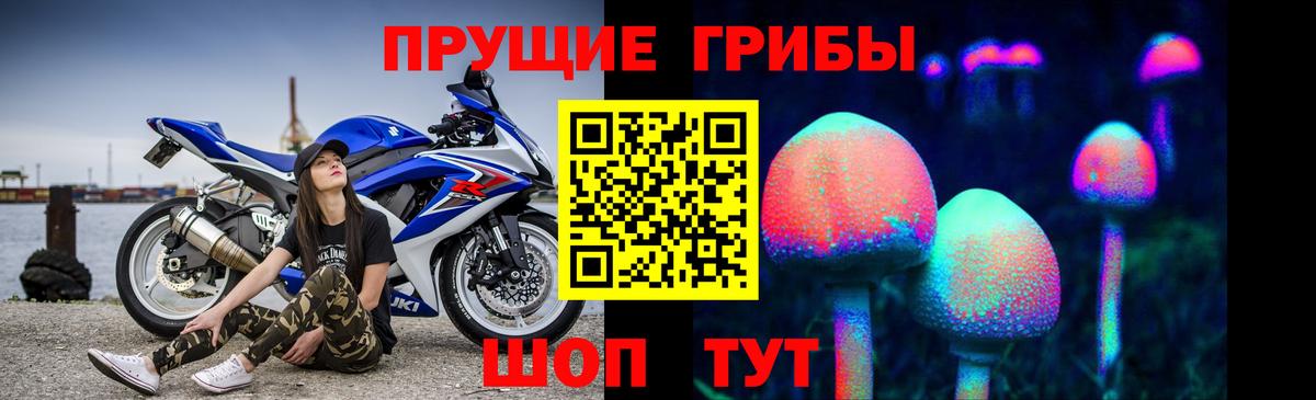 Псилоцибиновые грибы GOLDEN TEACHER Феодосия